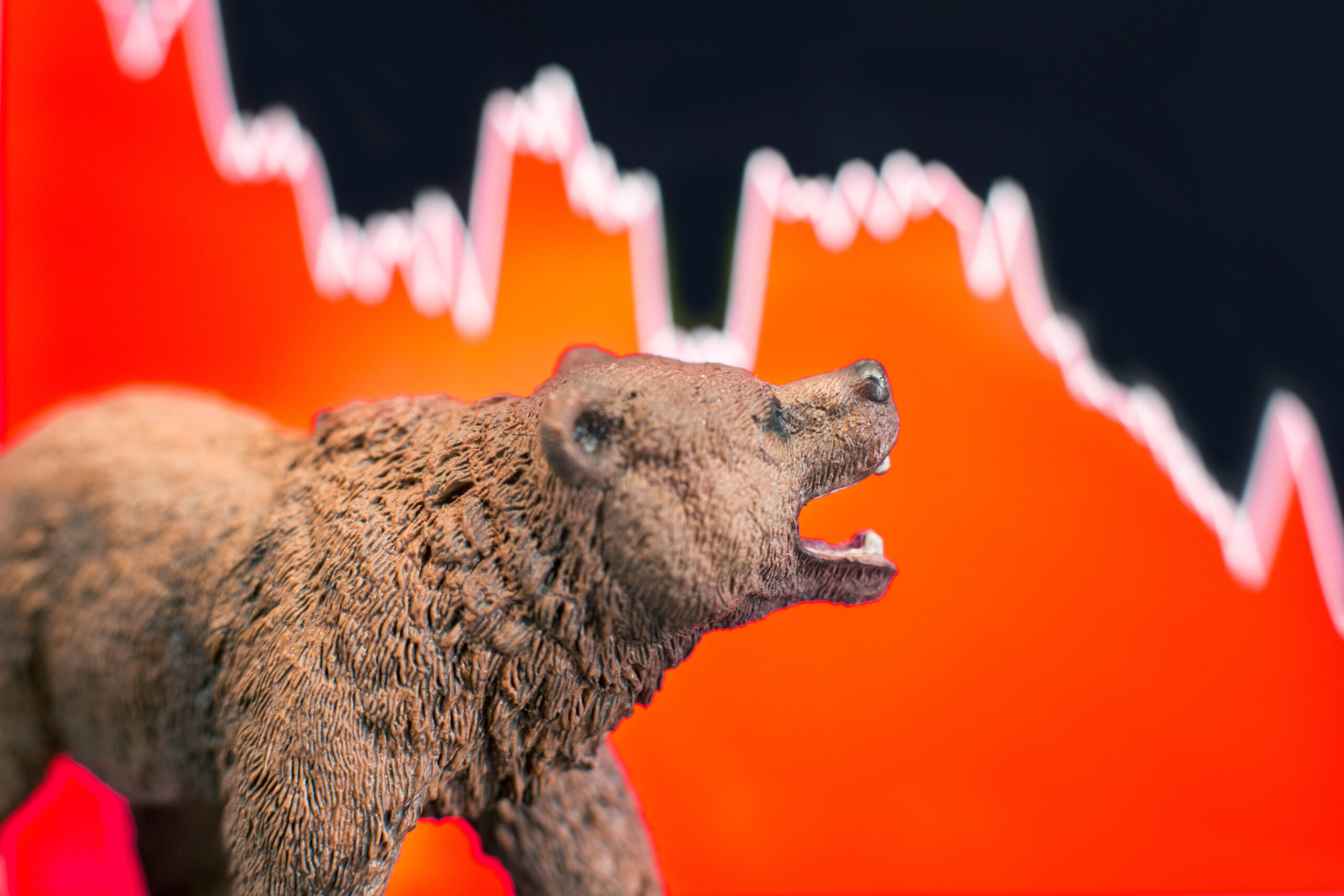 Is a Bear Market Coming in 2025? Here’s Exactly What I’m Doing Right Now to Prepare